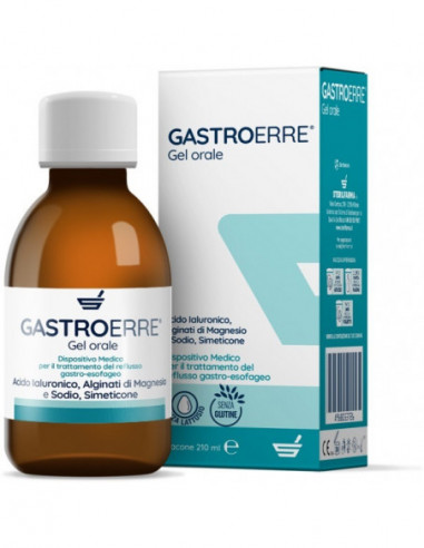 Gastroerre 210 Ml