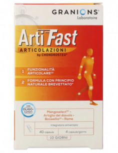 Artifast 40 Capsule