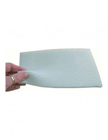 Spugna Presaponata 12x20x1 20 Pezzi