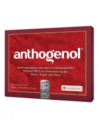 Opc Masquelier Anthogenol 30 Capsule