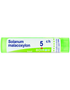 Solanum Malacoxilon 5ch...