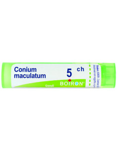 Conium Maculatum 5 Ch...