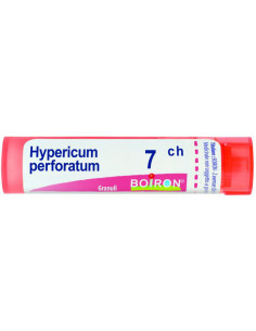 Hypericum Perforatum 7 Ch...