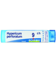 Hypericum Perforatum 9 Ch...