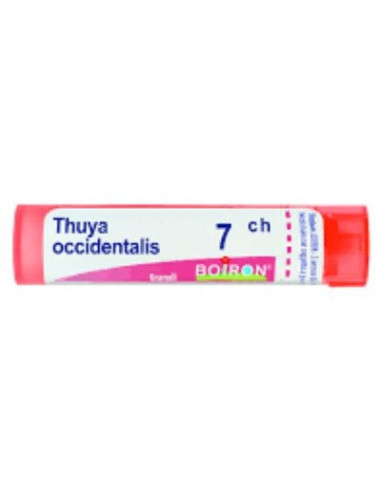 Thuya Occident 7ch Globuli 1g