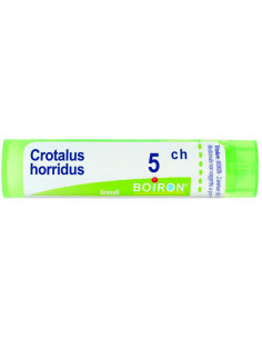 Crotalus Horridus 5ch...