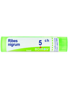 Ribes Nigrum 5ch Granuli 4g