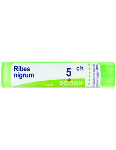Ribes Nigrum 5ch Granuli 4g