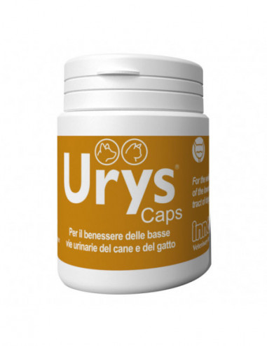 Urys Caps 30 Capsule