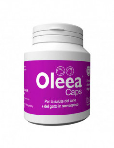Oleea Caps 60 Capsule