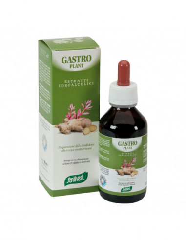 Zef03 Gastro Plant Stv
