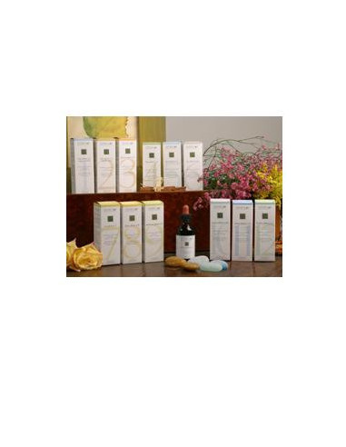 Zef09 Immuno Plant Stv