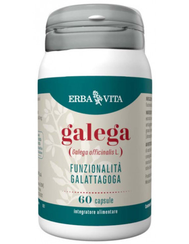 Galega 60 Capsule
