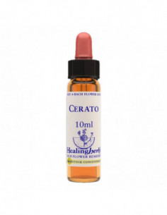 Cerato Essenza 10 Ml 1 Pezzo