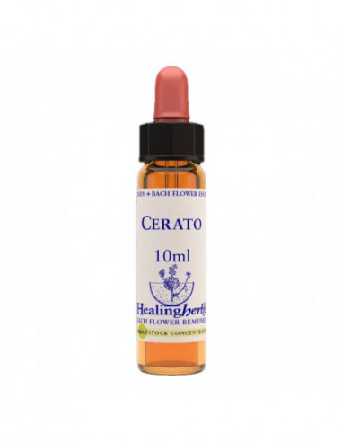 Cerato Essenza 10 Ml 1 Pezzo