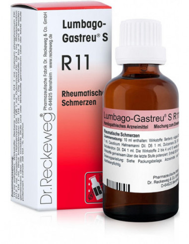 Reckeweg R11 Gocce 22 Ml