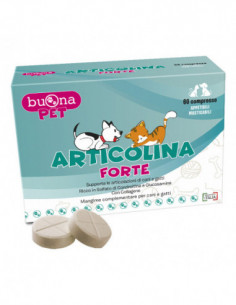 Articolina Forte 60...