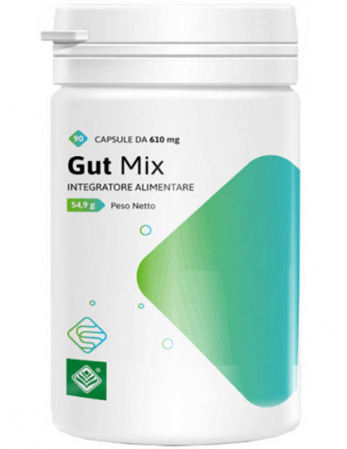 Gut Mix 90 Capsule