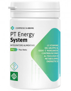 Pt Energy System 30 Compresse
