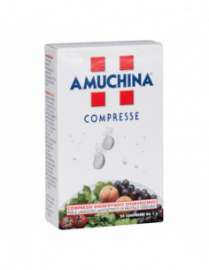 Amuchina Compresse 1 G 24...