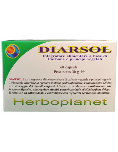 Diarsol 60 Capsule