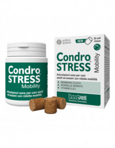 Condrostress Mobility 30...