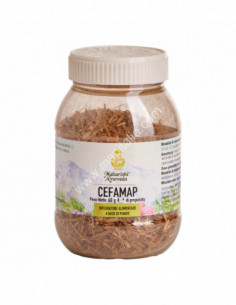 Cefamap Polvere 60 G