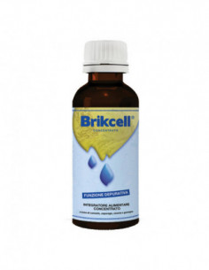 Brikcell 200 Ml