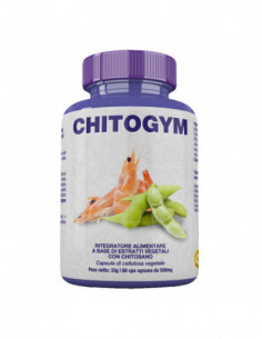 Chitogym 60 Capsule