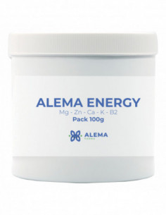 Alema Energy 100 G