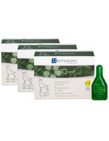 Pyo Spot Cane 0-10kg