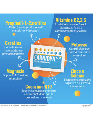 Integratore Tonificante Carnidyn Fast...