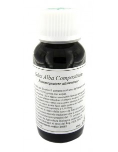 Lvs 38n Salix Alba Compositum