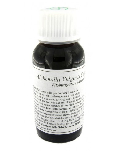 Lvs 19n Alchemilla Vulgaris Compositum