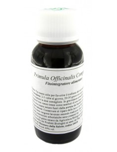 Lvs 04n Primula Officinalis...