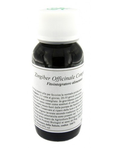 Lvs 64n Zingiber Officinalis Compositum