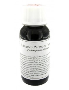 Lvs 67s Echinacea Purpurea...