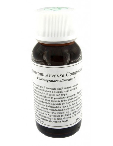 Lvs 41n Equisetum Arvense Compositum