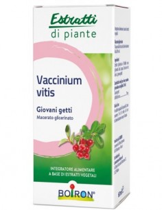 Vaccinium Vitis Macerato...