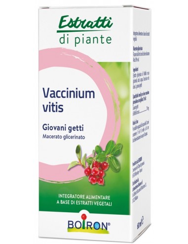 Vaccinium Vitis Macerato Glicerico 60 Ml