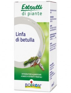 Linfa Di Betulla Seve De...