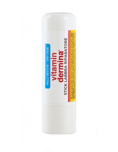 Vitamindermina Stick Labbra 4,5 Ml