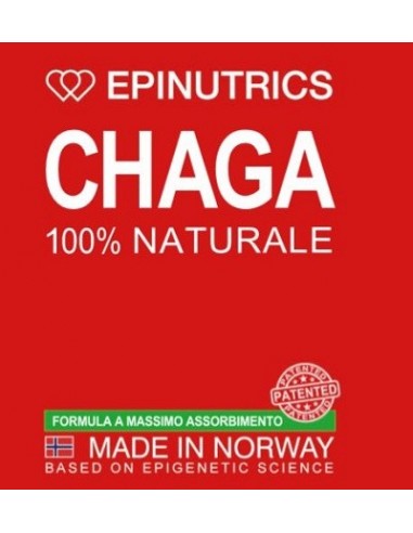 Epinutrics Epi Chaga 60 Capsule