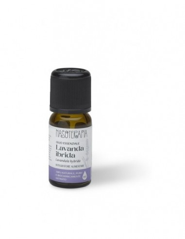NASOTERAPIA LAVANDA IBRIDA BIO...