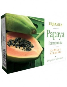 Papaya Fermentata 20...
