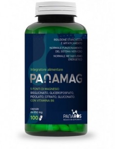 Panamag 100 capsule 650 mg