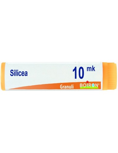 Silicea Xmk Globuli 1g
