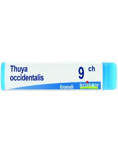 Thuya Occidentalis 9 Ch...