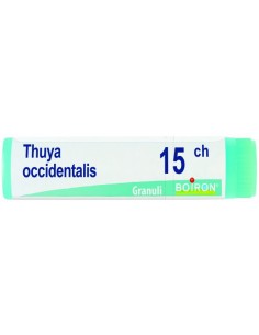 Thuya Occidentalis 15 Ch...