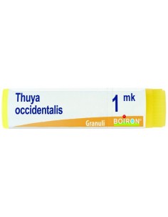 Thuya Occidentalis Mk Globuli